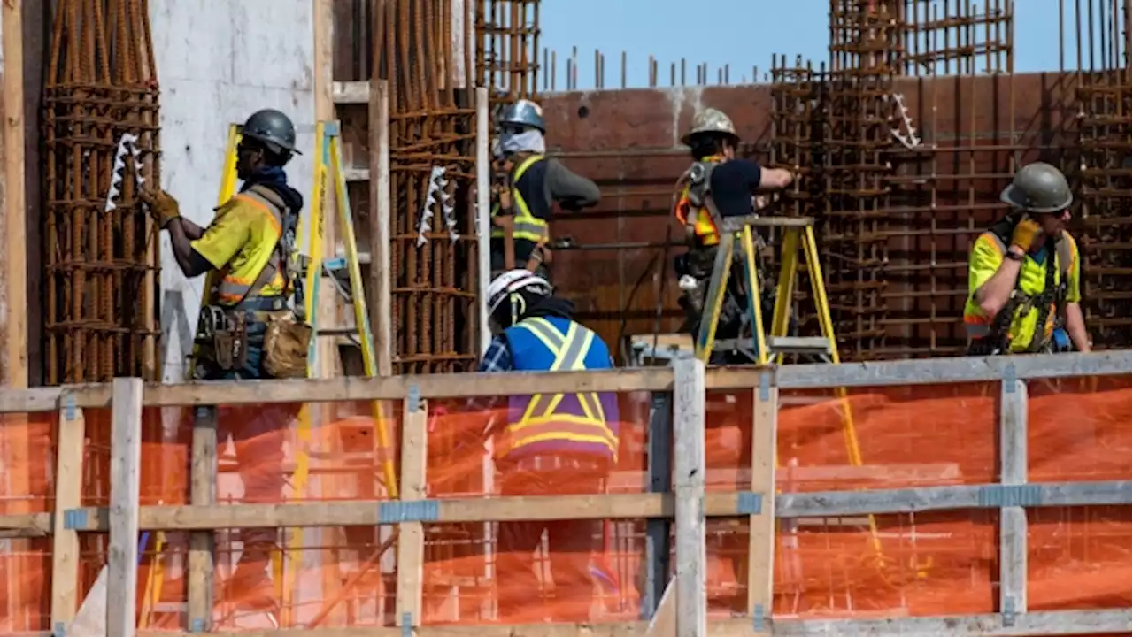 Labour shortage has Canada planning to pick and choose immigrants - BNN Bloomberg