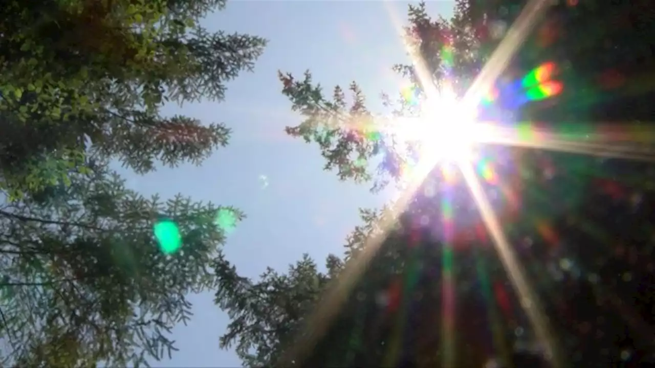 Environment Canada extends heat wave warning for parts of Vancouver Island