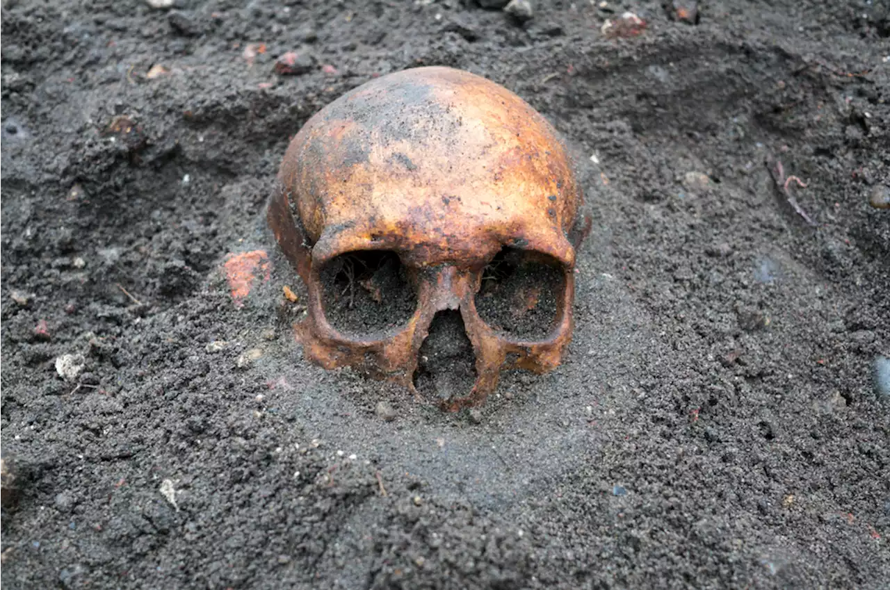 Ancient Burials Bring Indonesian Life to Light