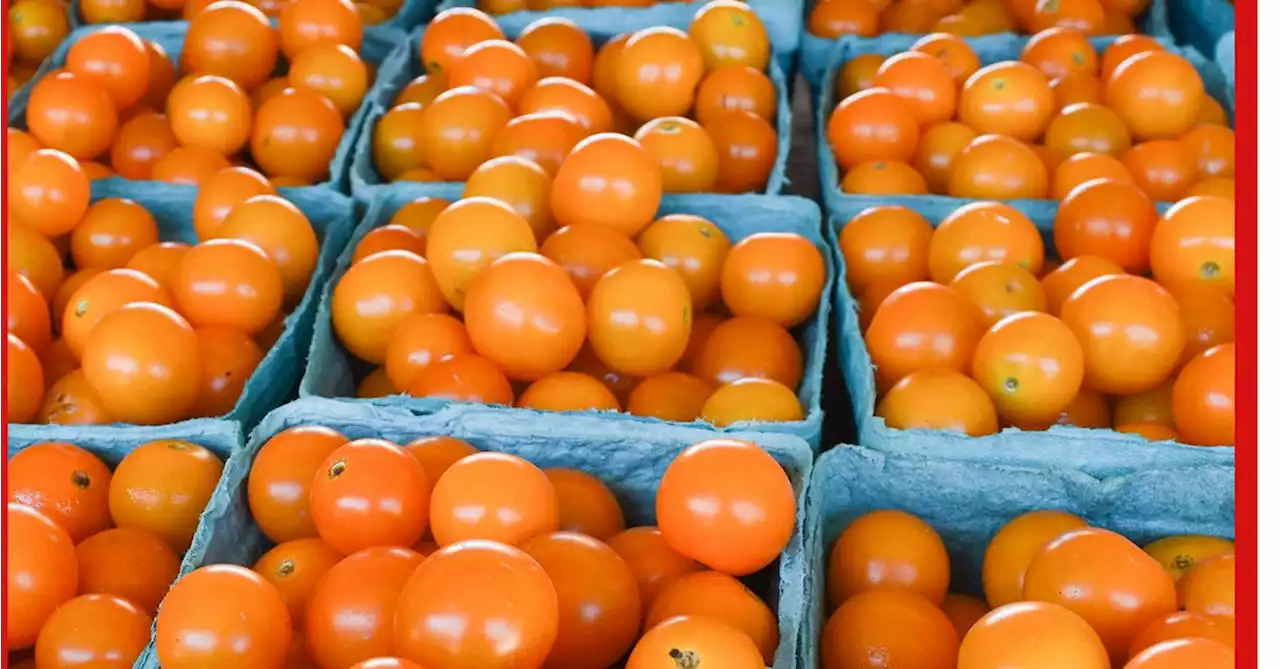 Put Tomatoes on Your Ice Cream