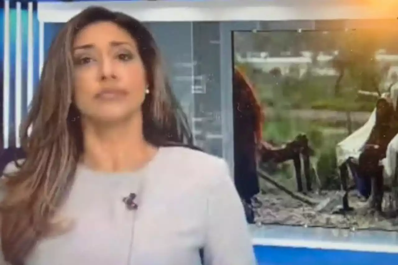 Toronto News Anchor Swallows A Fly During Live TV Segment