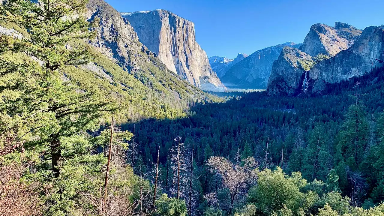 Everything To Know About Californias Yosemite National Park Australia