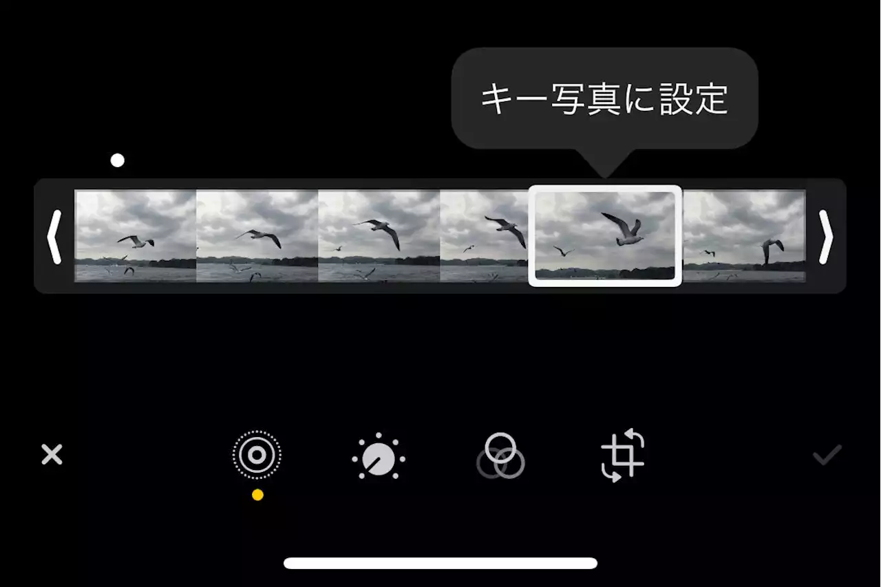 動きが速い動物の写真を撮るときのベストな方法は? - いまさら聞けないiPhoneのなぜ - トピックス｜Infoseekニュース