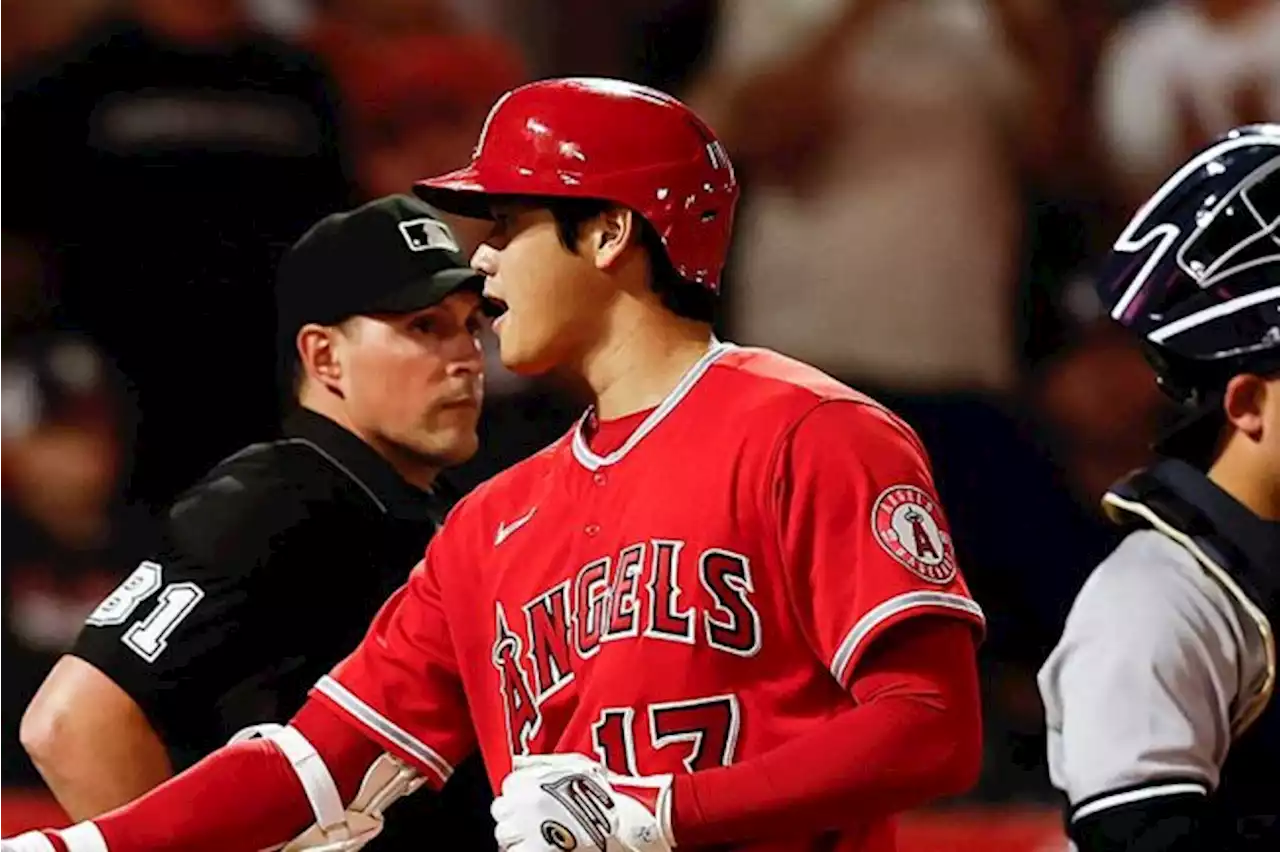 大谷翔平、泳がされても“確信歩き”の29号 一塁側アングルに米驚愕「片手で打った」 - トピックス｜Infoseekニュース