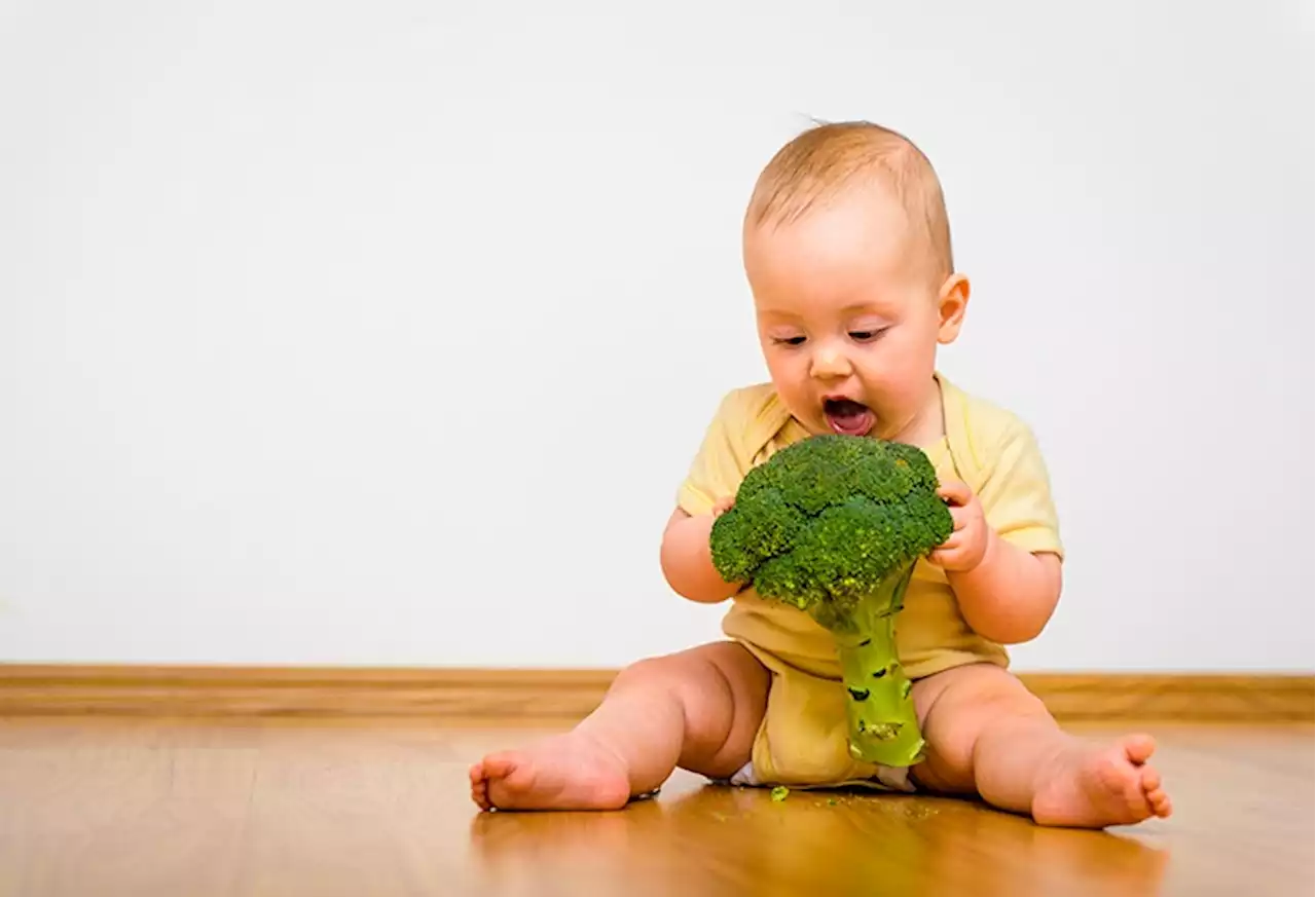 First foods: veg-led weaning