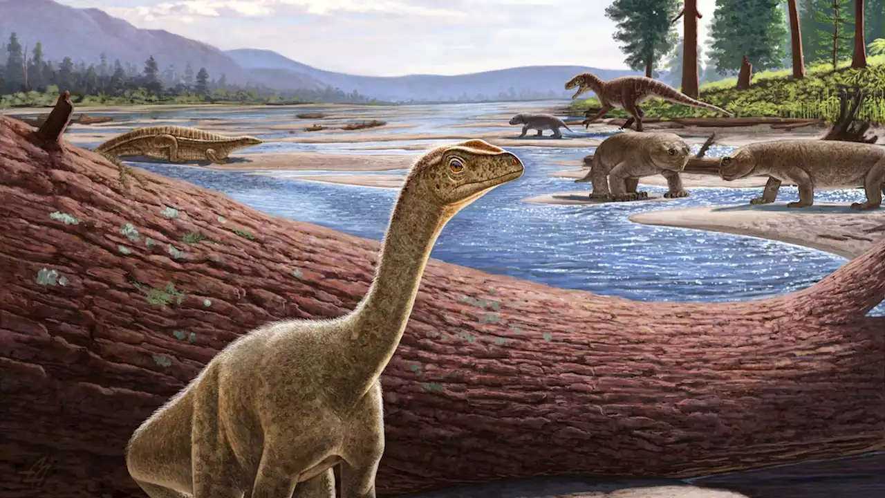 Fabulous 230-million-year-old fossil is Africa’s oldest known dinosaur