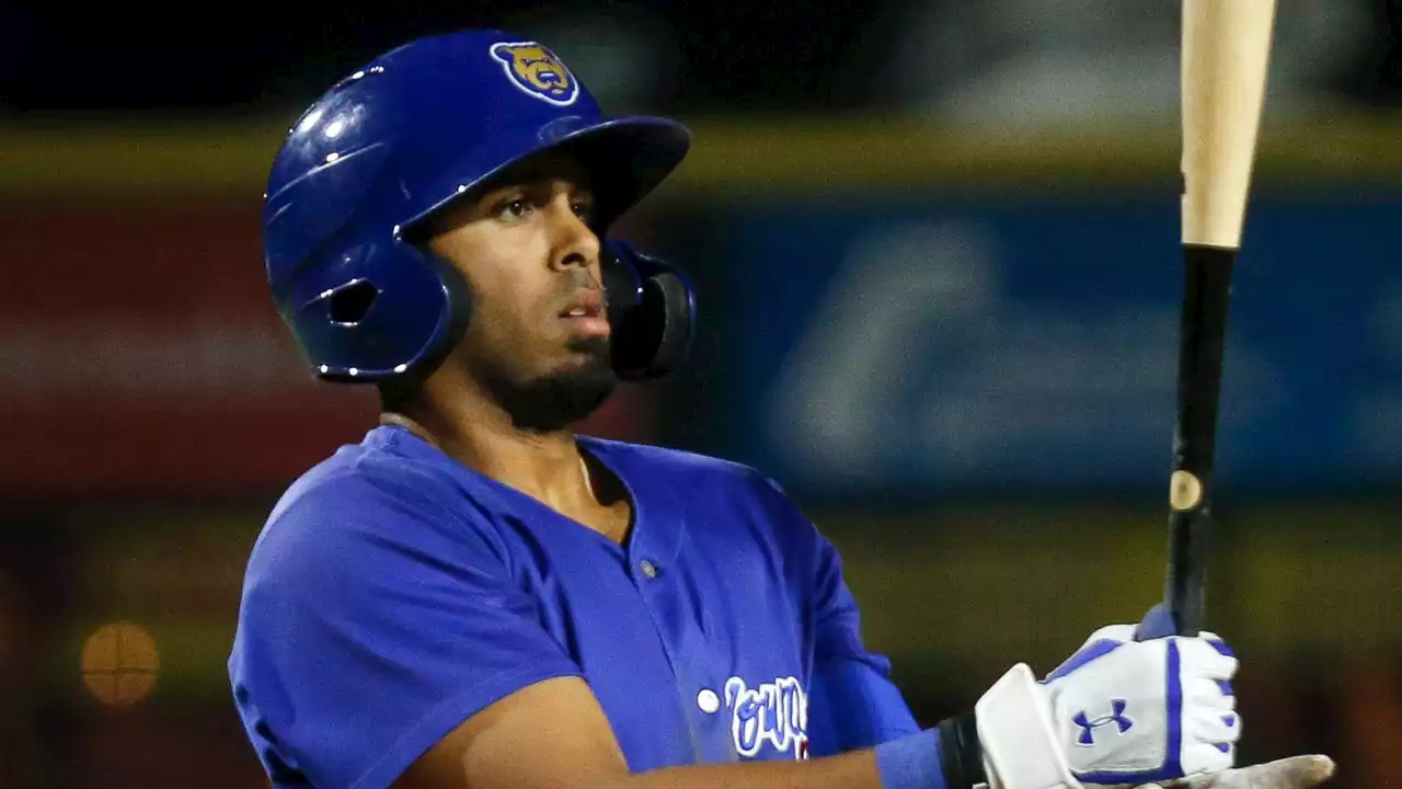 Cubs: Brennen Davis Punctuates Triple-A Return With Home Run