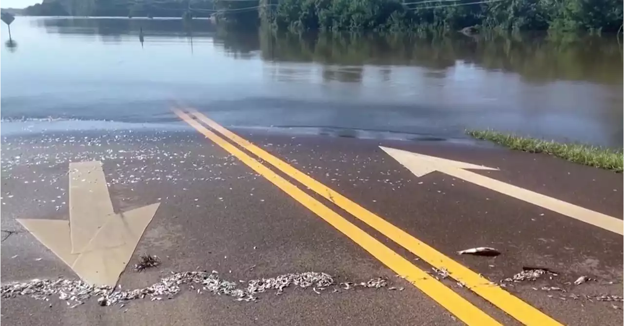 Biden declares emergency over Mississippi water crisis