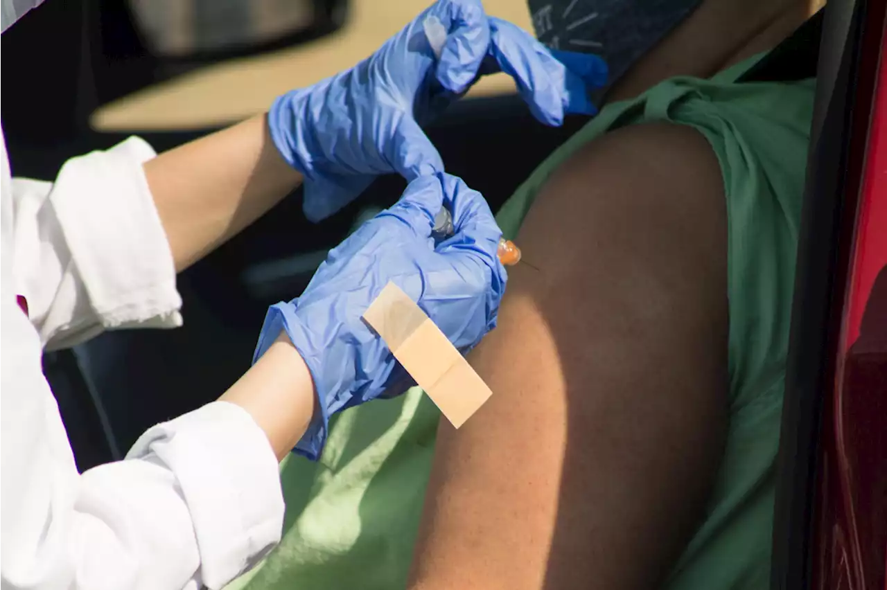 Bexar County offering free drive-through flu shots