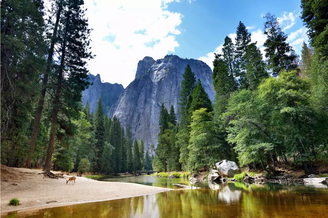 Calif. pro rock climber accused of sexual assault in Yosemite