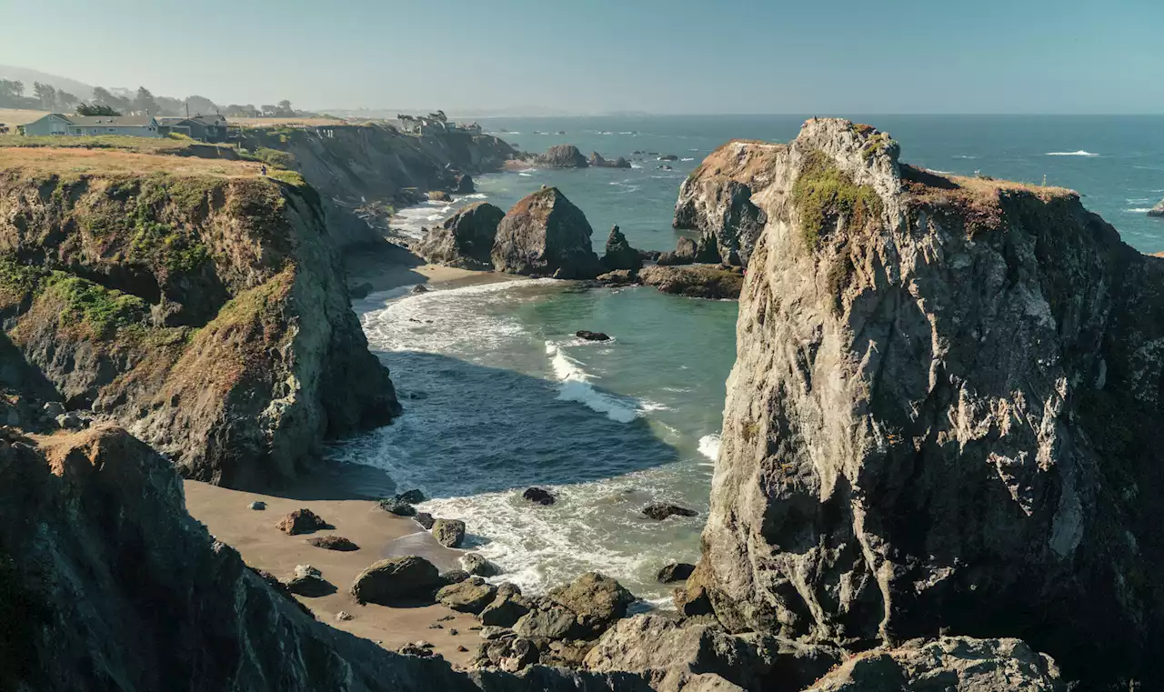 Dog rescued after falling 50 feet off Northern California cliff