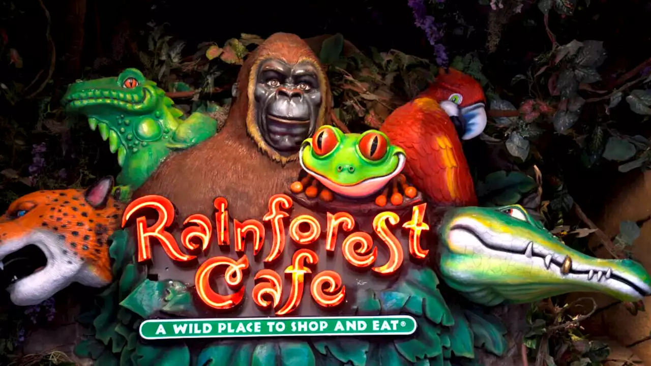 Did Greg Abbott Dine at Rainforest Cafe and Leave No Tip?