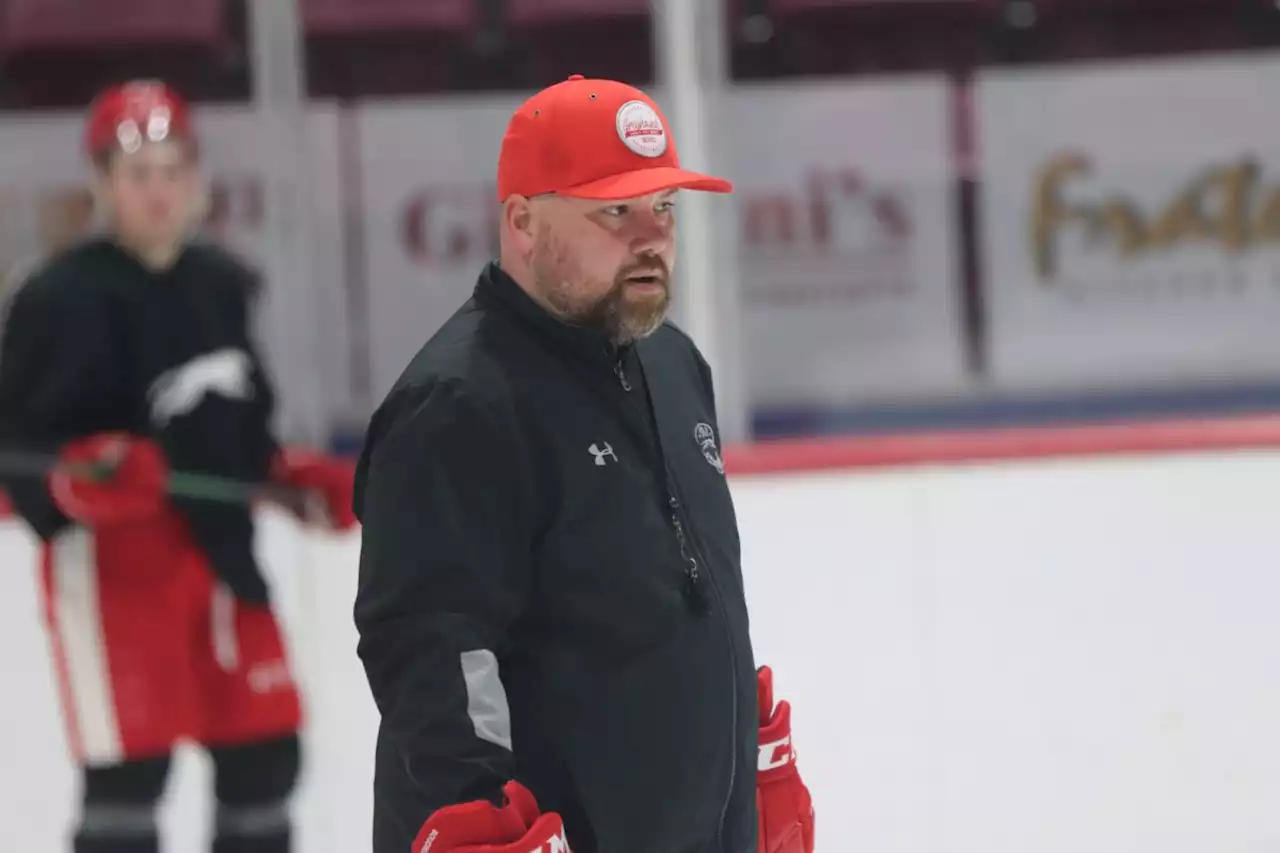 New Greyhounds assistant coach 'checks a lot of boxes'