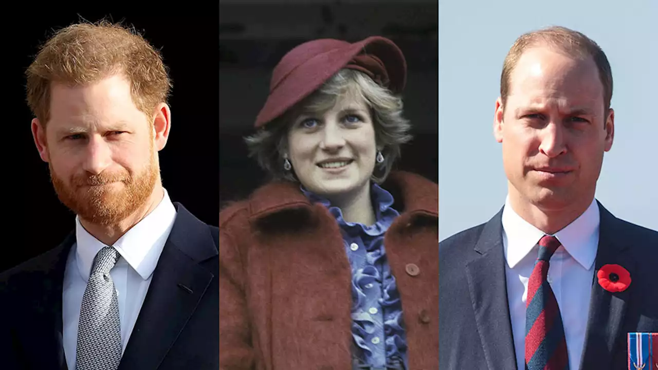 Here’s How Harry & William Are Honoring Diana’s ‘Legacy’ 25 Years After Her Death