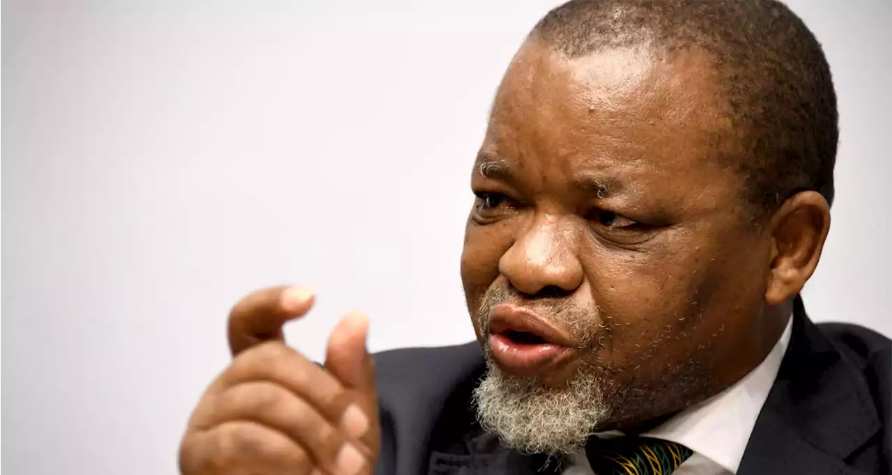 Mantashe's Eskom 2.0 plan includes E Cape nuclear plant