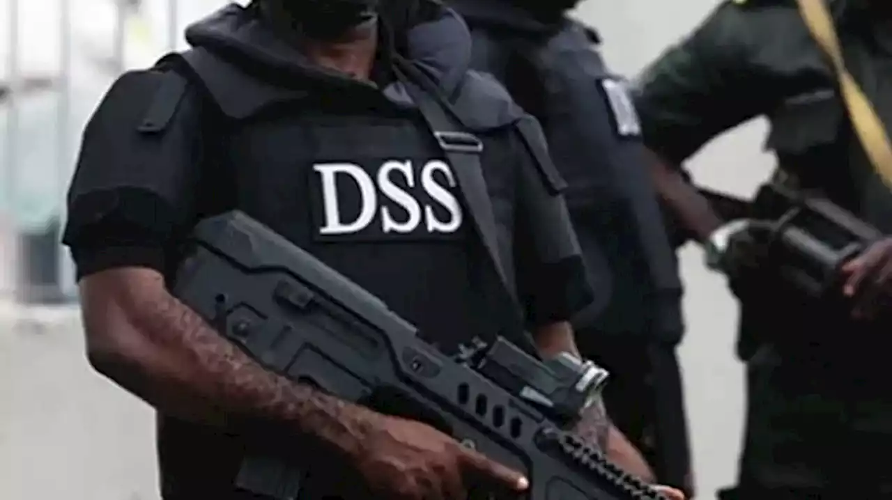 We don't abduct citizens, says DSS | TheCable