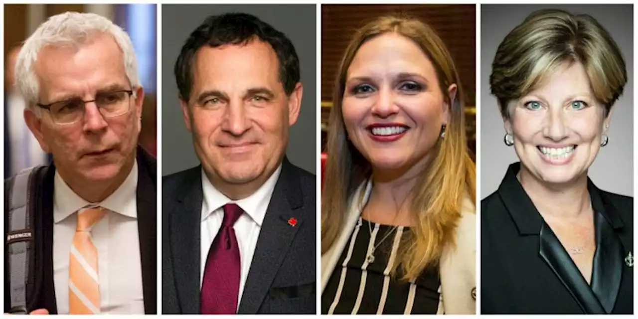 ‘They've made a real mess’: north, south Ontario MPs upset over proposed riding redraw