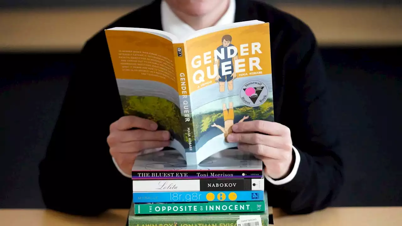 In a win for 'Gender Queer' and free speech, judge tosses suit that tried to deem book obscene