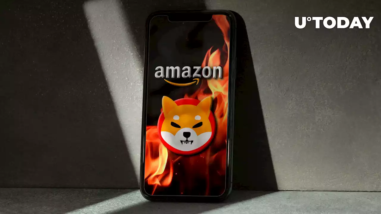 Burning Billions of SHIB Daily Definitely Possible with Amazon, Here's How: SHIB Burner