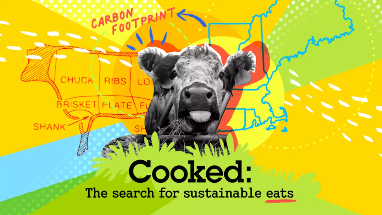 Cooked: Is there a place for meat in the search for sustainable eats?