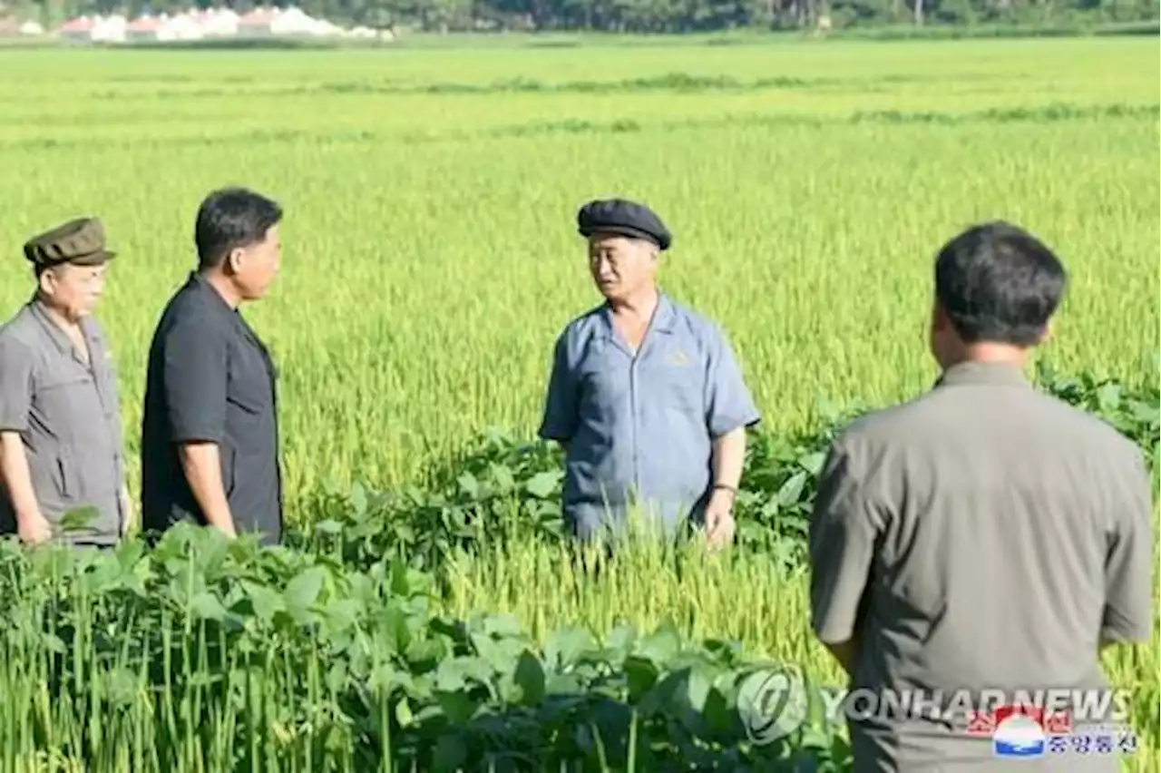 북한, 식량난 '한계' 왔나…외부지원 거절→도와달라 급선회 | 연합뉴스