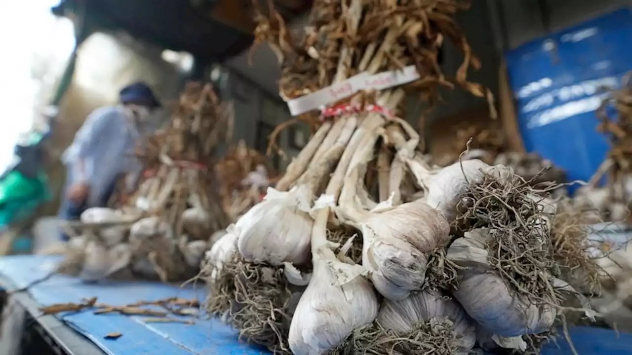 S. Korean garlic video ad roasted over purported obscenity