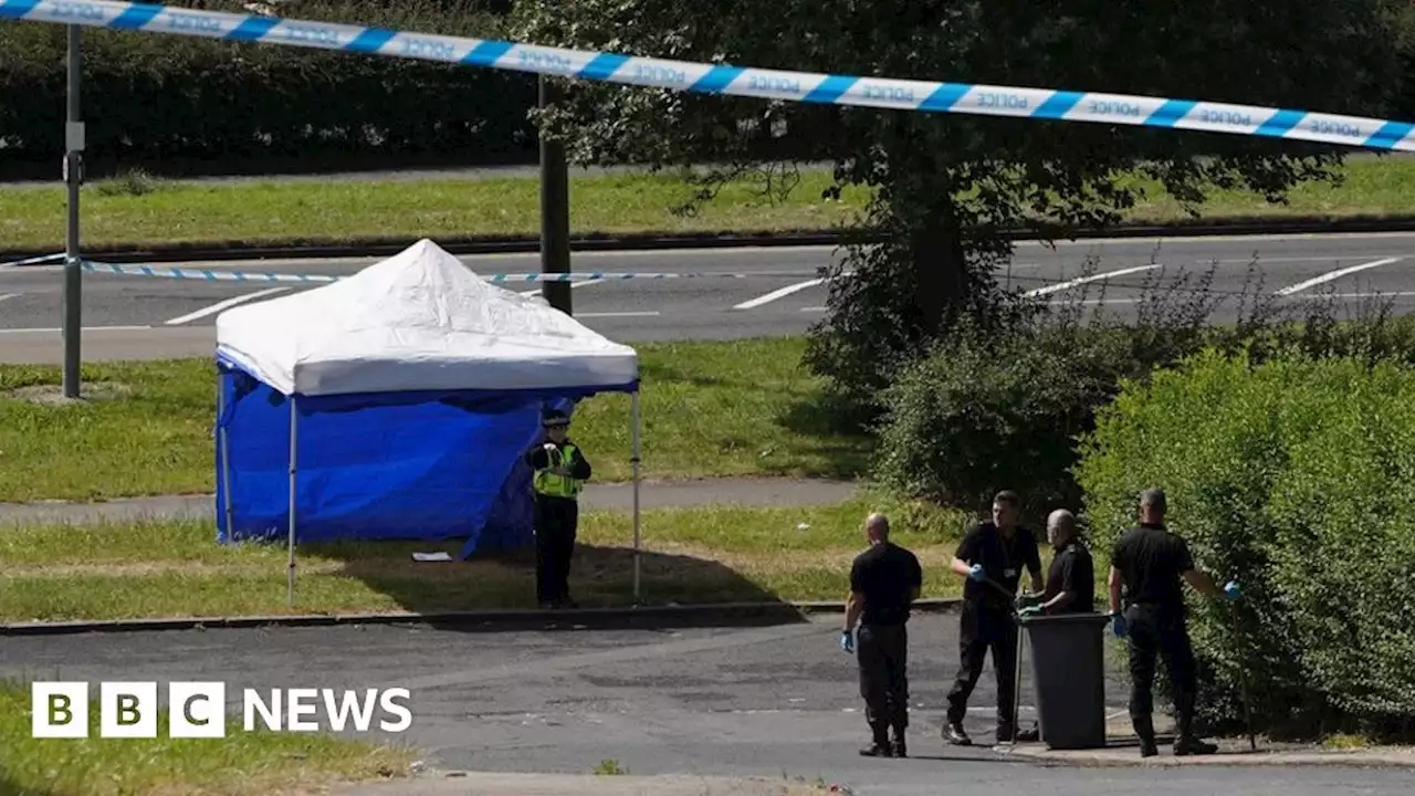 Andre Lee: Rotherham murder accused in court over man's death