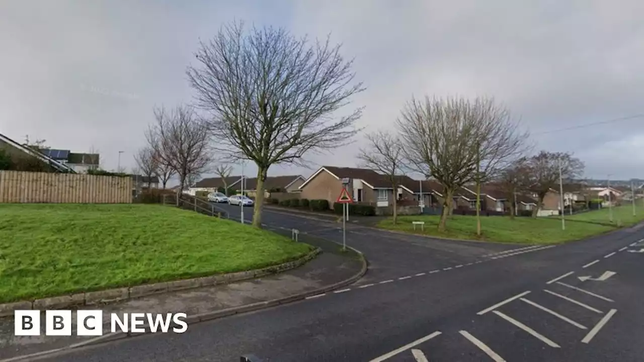 House and car damaged by masked men in Moss Park, Derry