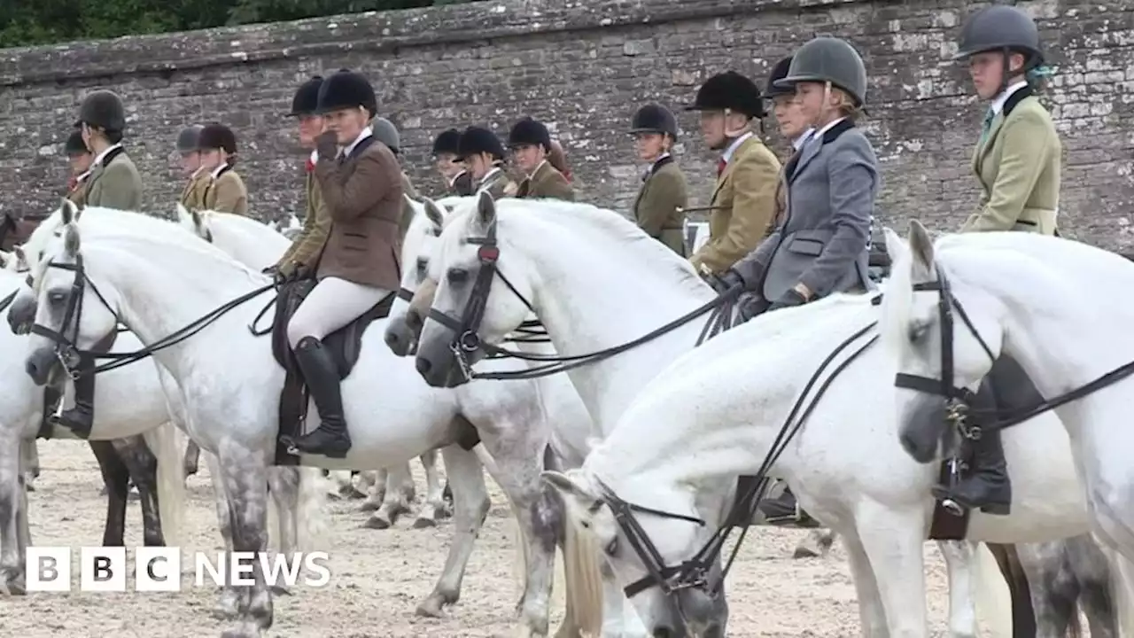 Irish Pony Society Championship Show held in Northern Ireland for first time