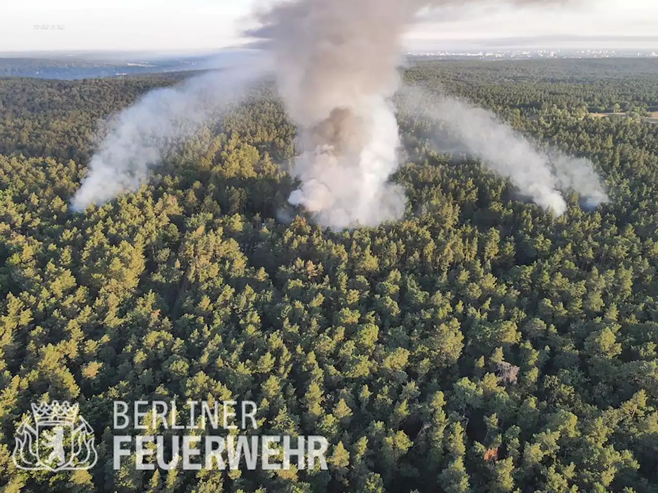 Explosion mit Ansage: Warum steht mitten im Grunewald ein Sprengplatz?