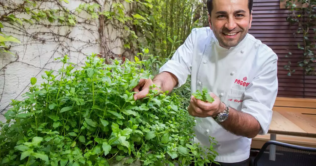 TV-Koch Ali Güngörmüş: Neun Kilo leichter dank Fleischverzicht: Das sind seine neuen Veggie-Rezepte