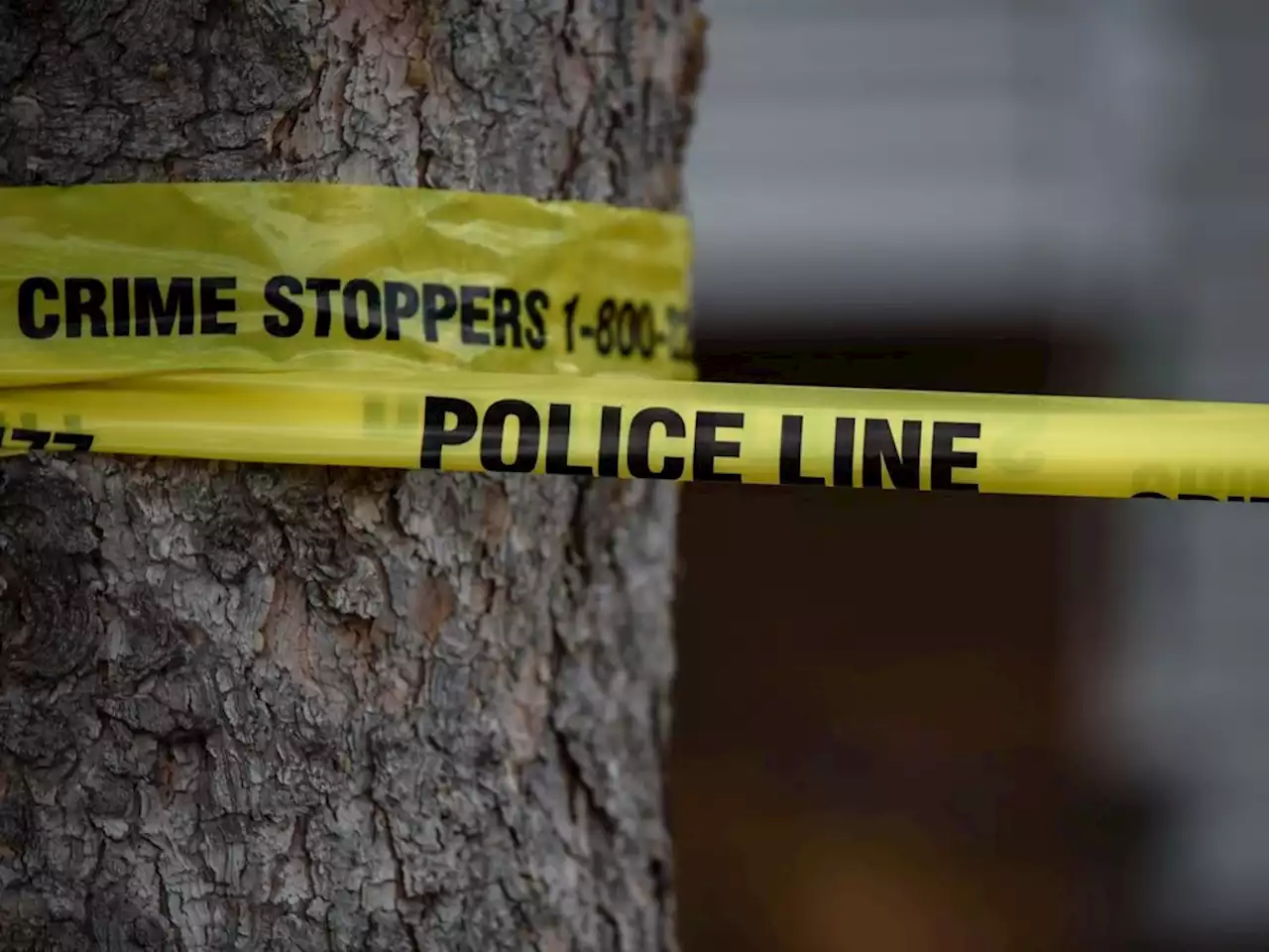 Calgary police ask for public's help in identifying Tuxedo Park shooting suspects