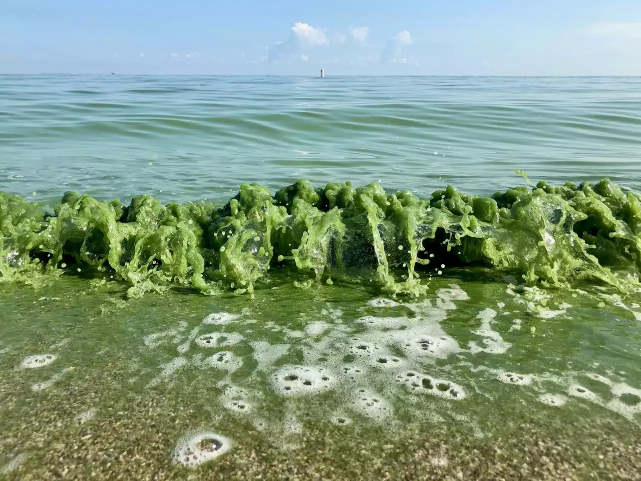 Cleveland Water Department pursuing $2M fix for discolored water caused by algae in Lake Erie