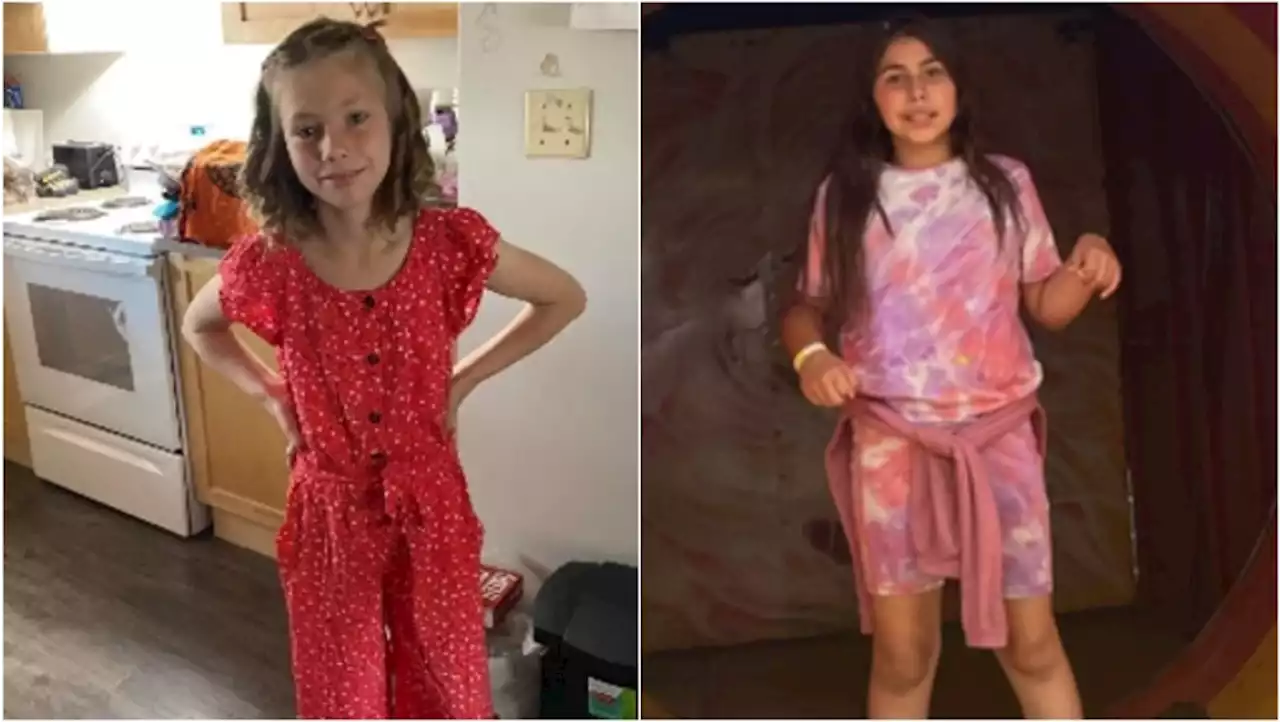 2 young girls missing from northeast Calgary: police