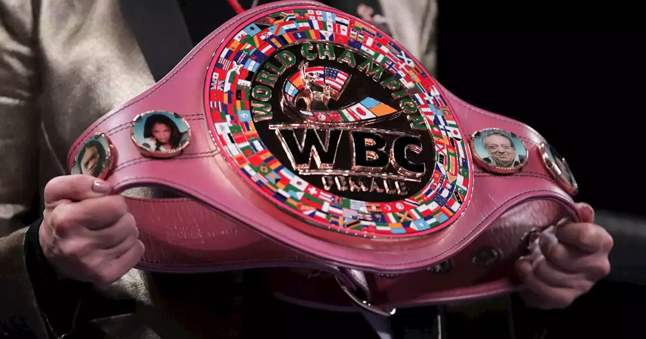 World Boxing Council to reconsider ban on transgender women