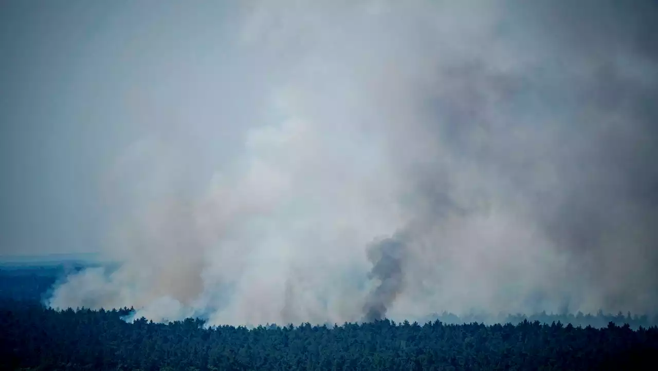 Feuer im Grunewald breitet sich unkontrolliert aus