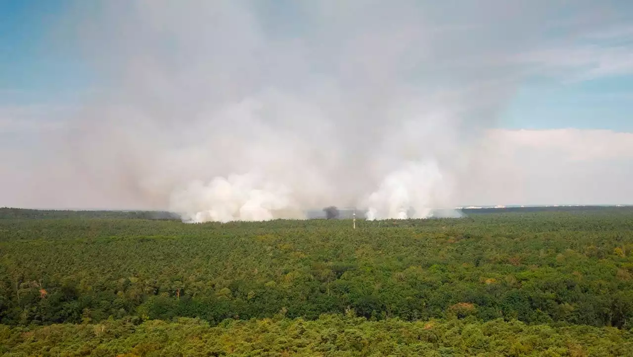 Grunewald: Die Entwicklungen zum Großbrand in Berlin