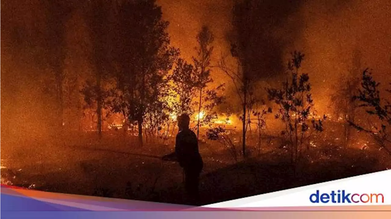 Giliran Perusahaan Pembakar Hutan di Kalbar yang Didenda Rp 199 Miliar