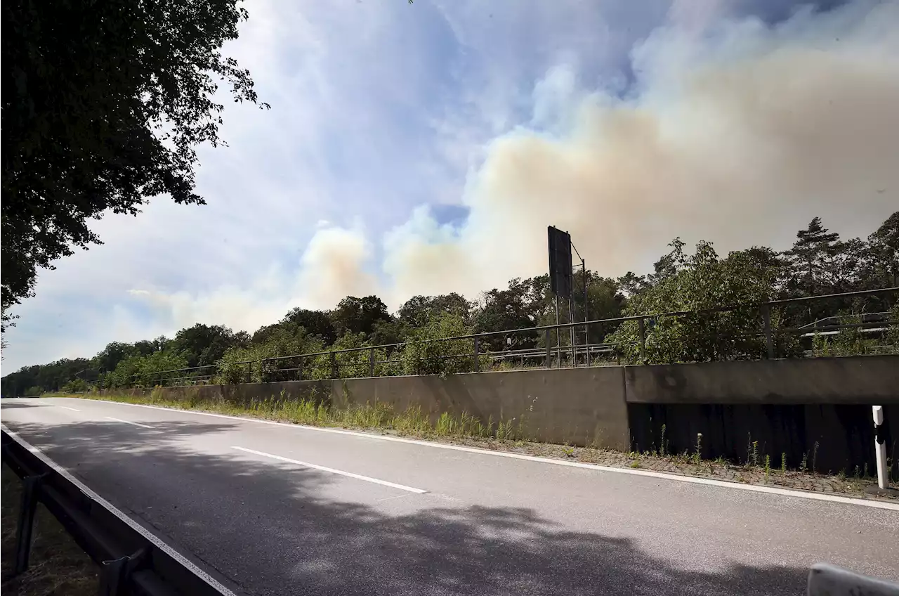 Grunewald - Feuer weitet sich in Richtung Avus aus