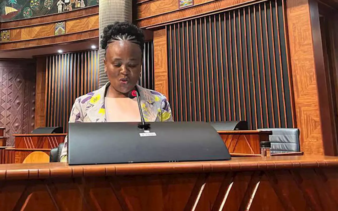 Neshunzhi claims SSA involvement in the Public Protector's office is not unusual