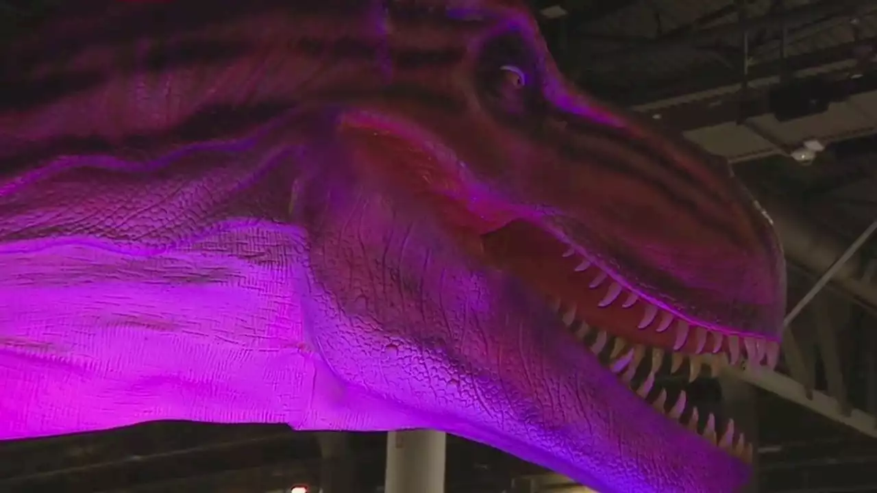 Life-size dinosaurs arrive at Houston's NRG Center