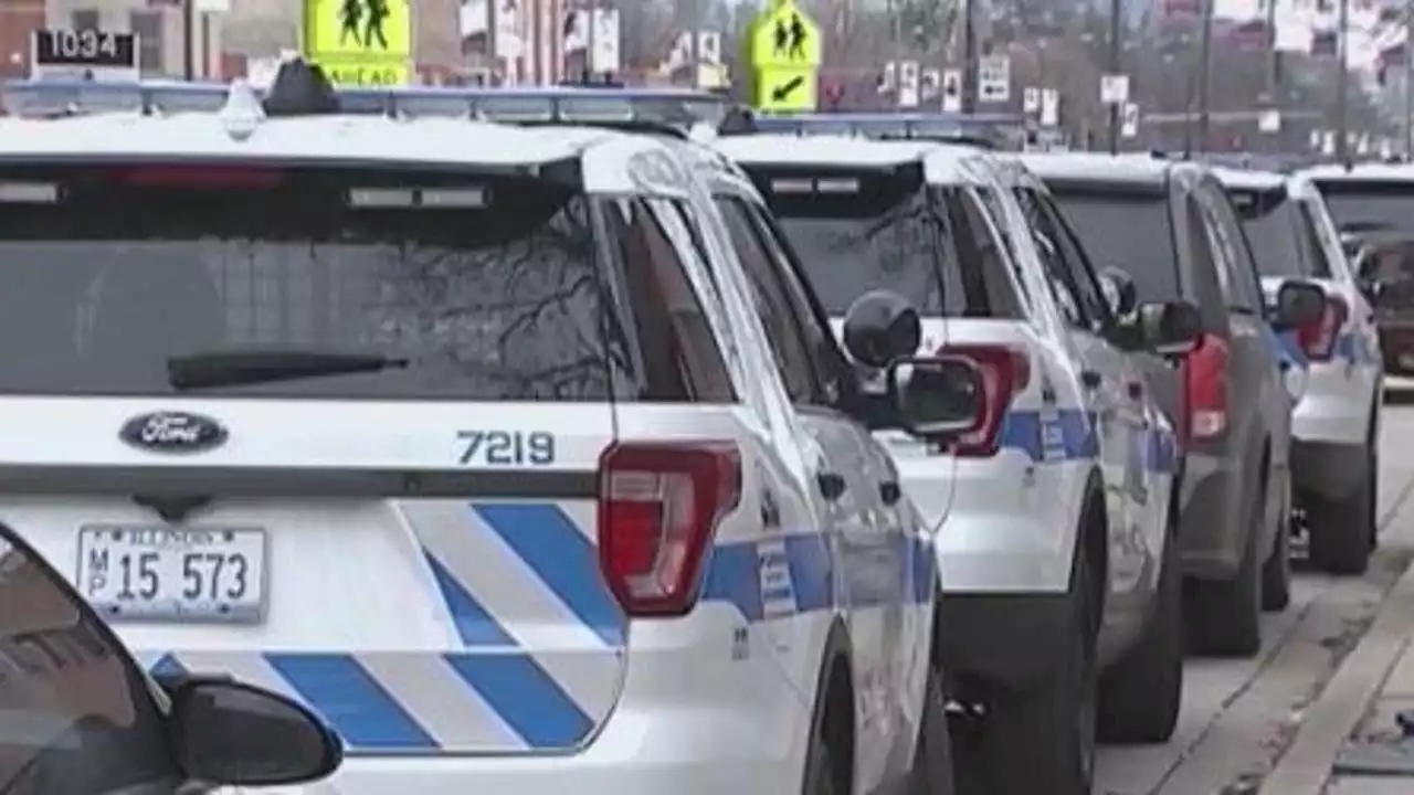 Roughly 180 CPD officers in specialized units moving back to their districts, mass transit