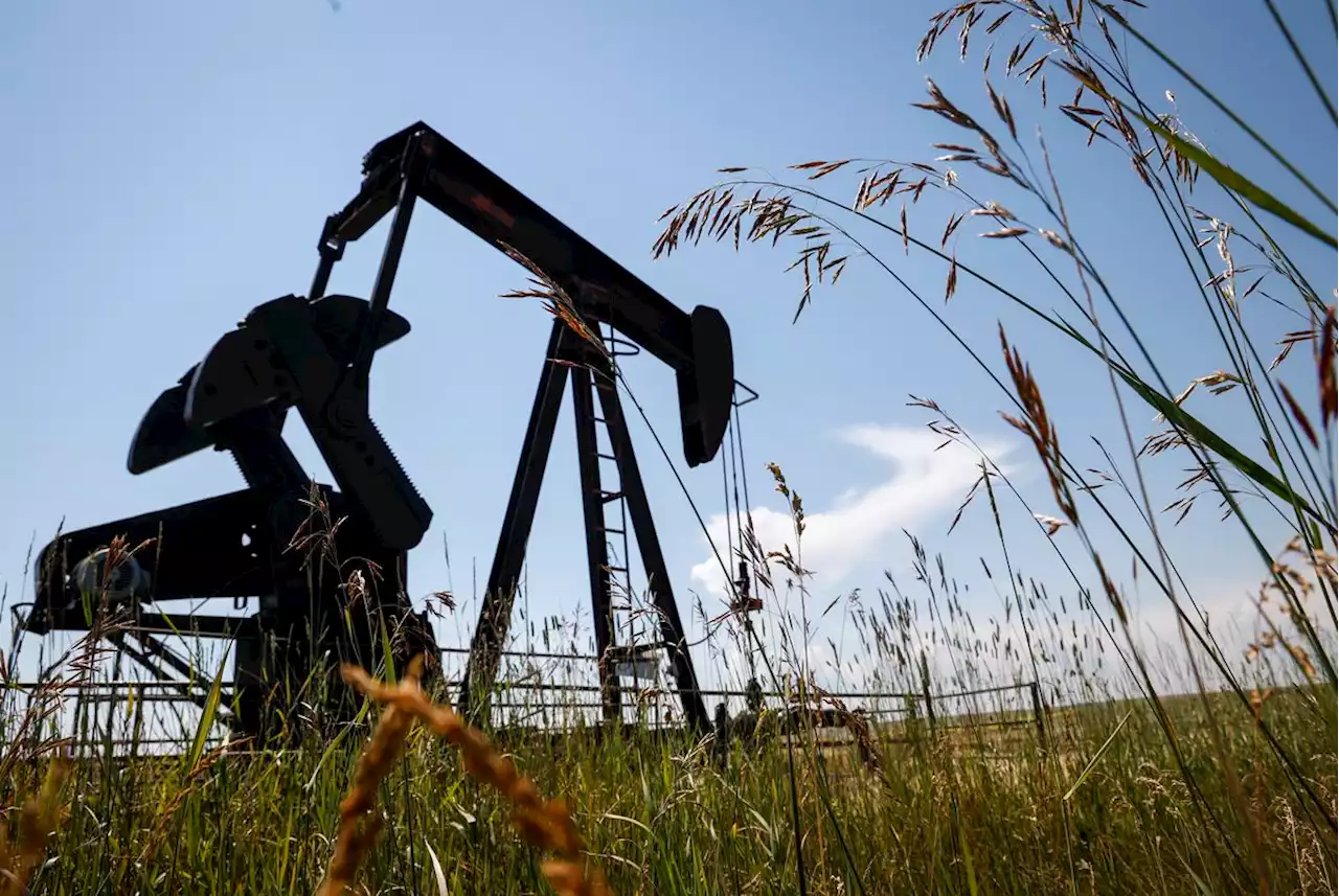 Globe editorial: What Irish cows and Canadian oil have in common (Hint: Climate)