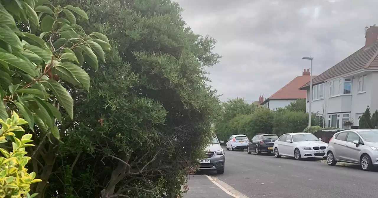 Blackpool woman ordered to trim her bush or face £100 fine