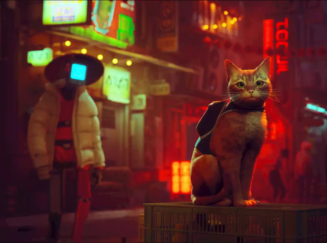 Review: ‘Stray’ is way more than just a cat simulator