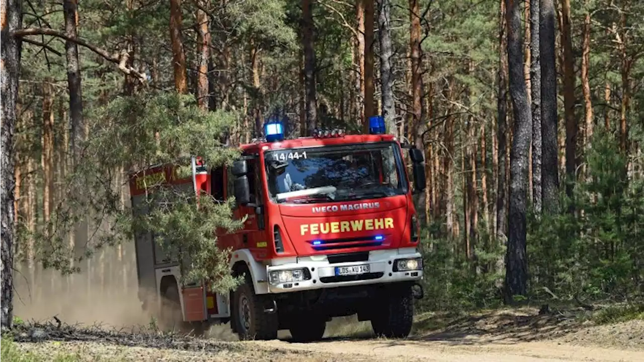 Große Trockenheit: Drei Waldbrände in Brandenburg