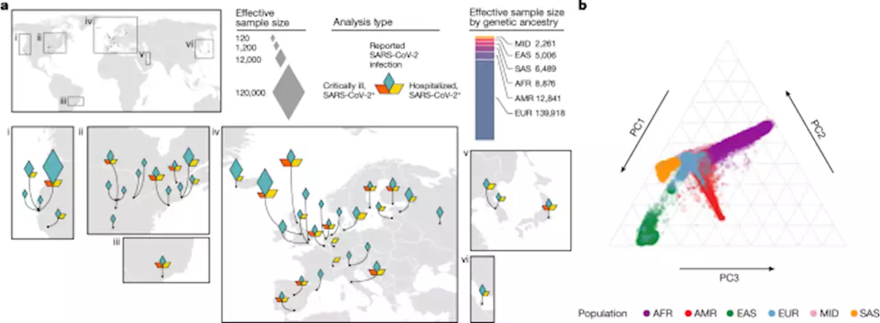 A first update on mapping the human genetic architecture of COVID-19 - Nature