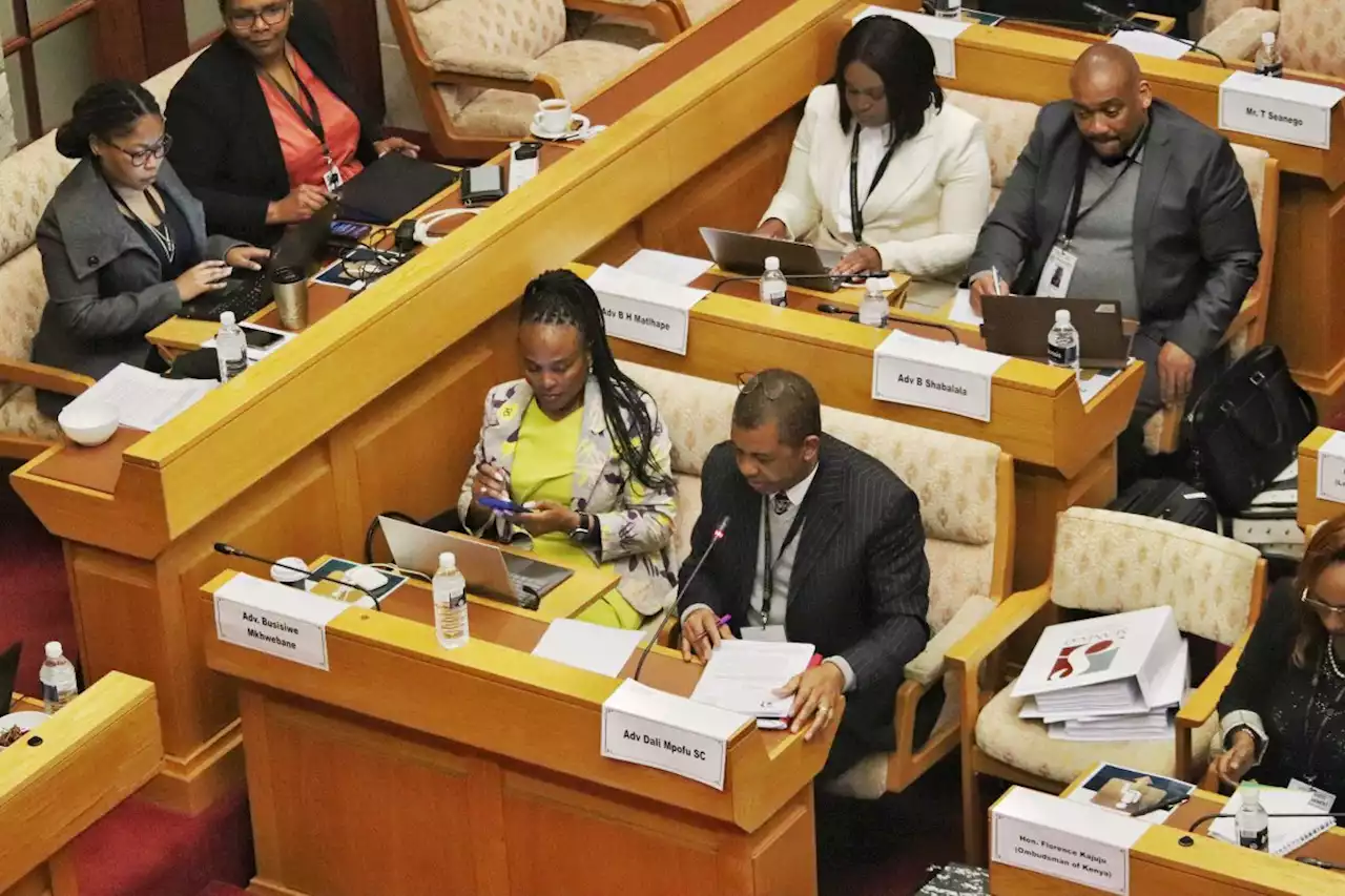 LIVE | Mpofu tries and fails to block testimony of Public Protector ex-security head | News24