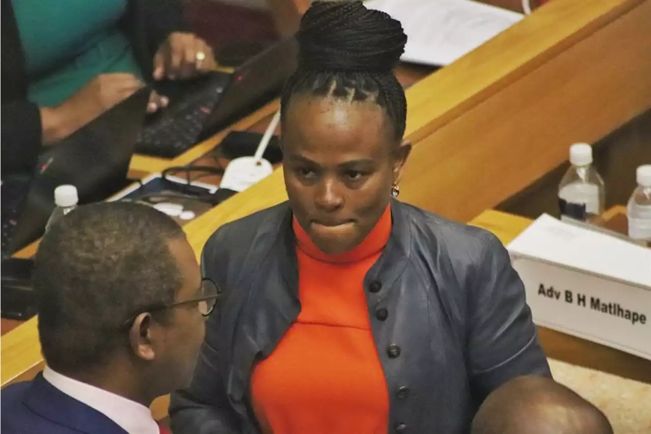 There was SSA involvement at Public Protector's office, committee hears | News24