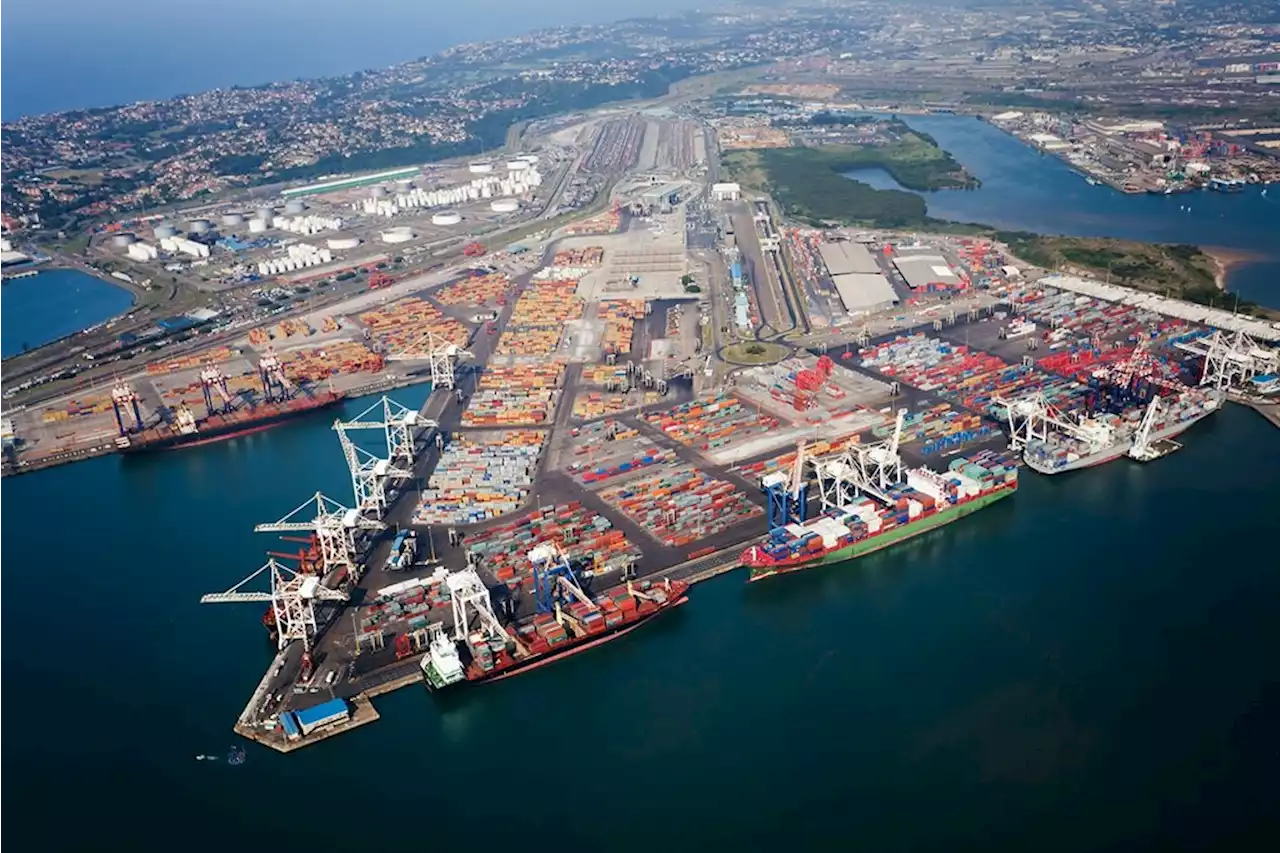 Transnet chases massive Durban port expansion for fear of being left behind | Fin24